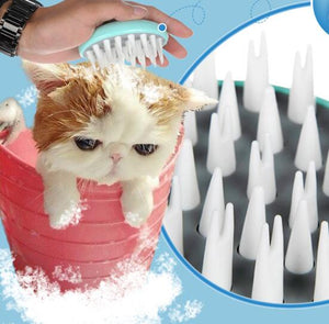 Why Your Pet Deserves the Best Bathing Experience