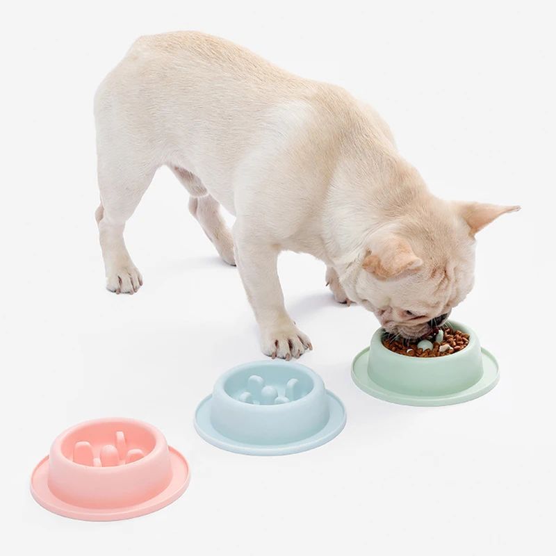 Enhance Your Pet's Mealtime with Our Slow Eating Bowl