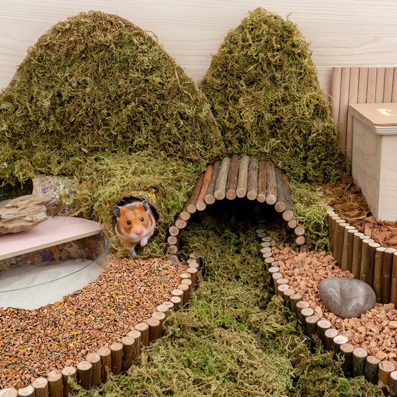 Oak Cork Hamster Bedding Dust Free Cage Landscaping Supplies