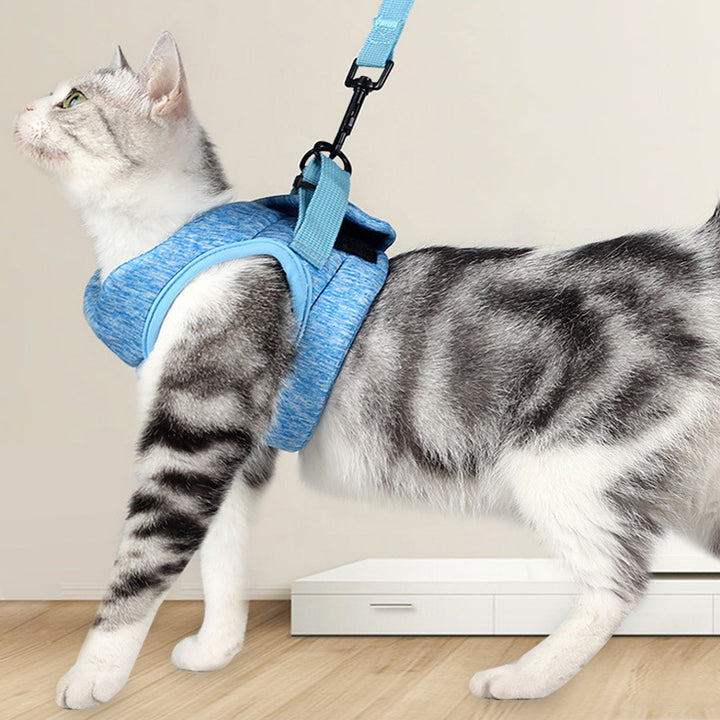 Pet Chest Strap Lace Rope Breathable Lightweight Leash