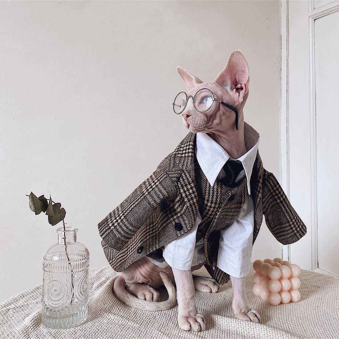 Pet Warm Suit Shirt Outfit Clothing Apparel