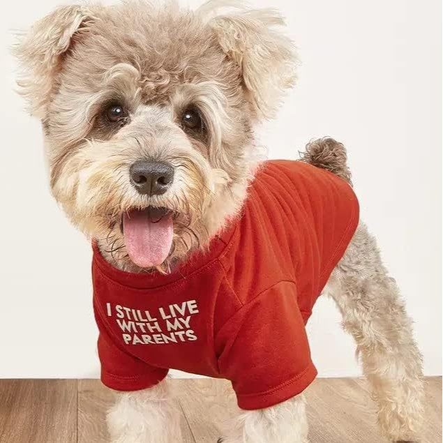 Round Neck Pet T-Shirt Comfortable Casual Wear
