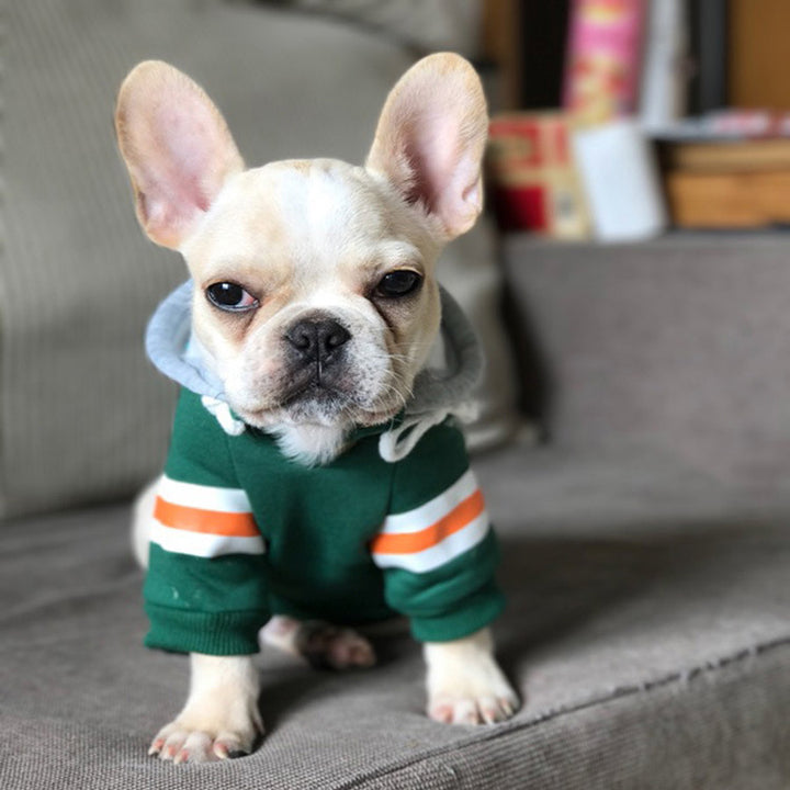 Pet Warm Sweater Clothing Apparel