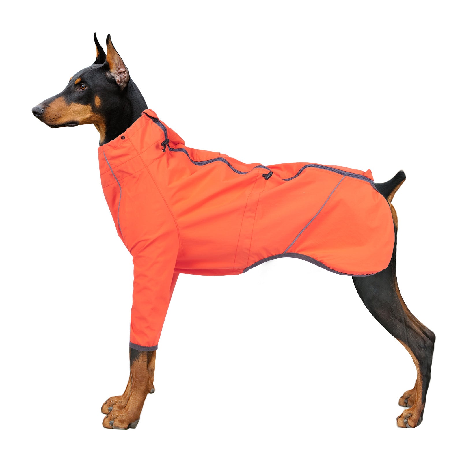 Pet Reflective Traction Hole Outdoor Safety Clothing