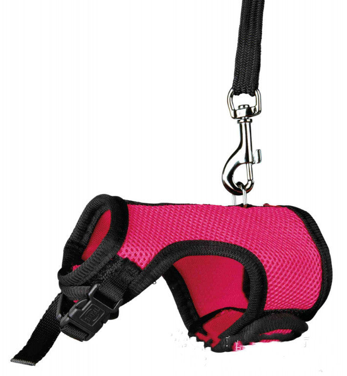 Pet Small Size Adjustable Walking Leash