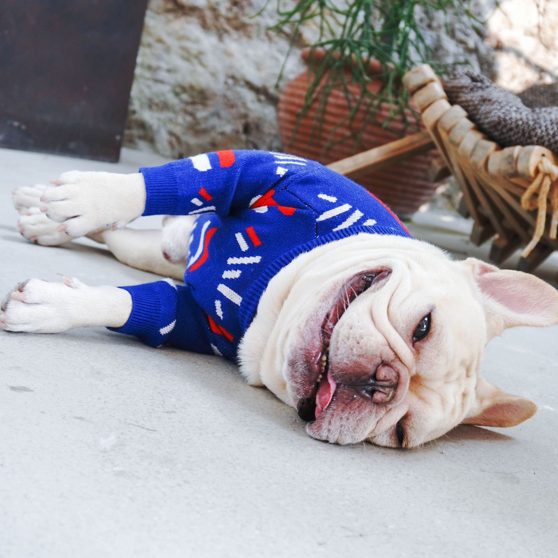 Pet Sweater Comfortable Warm Clothing Apparel