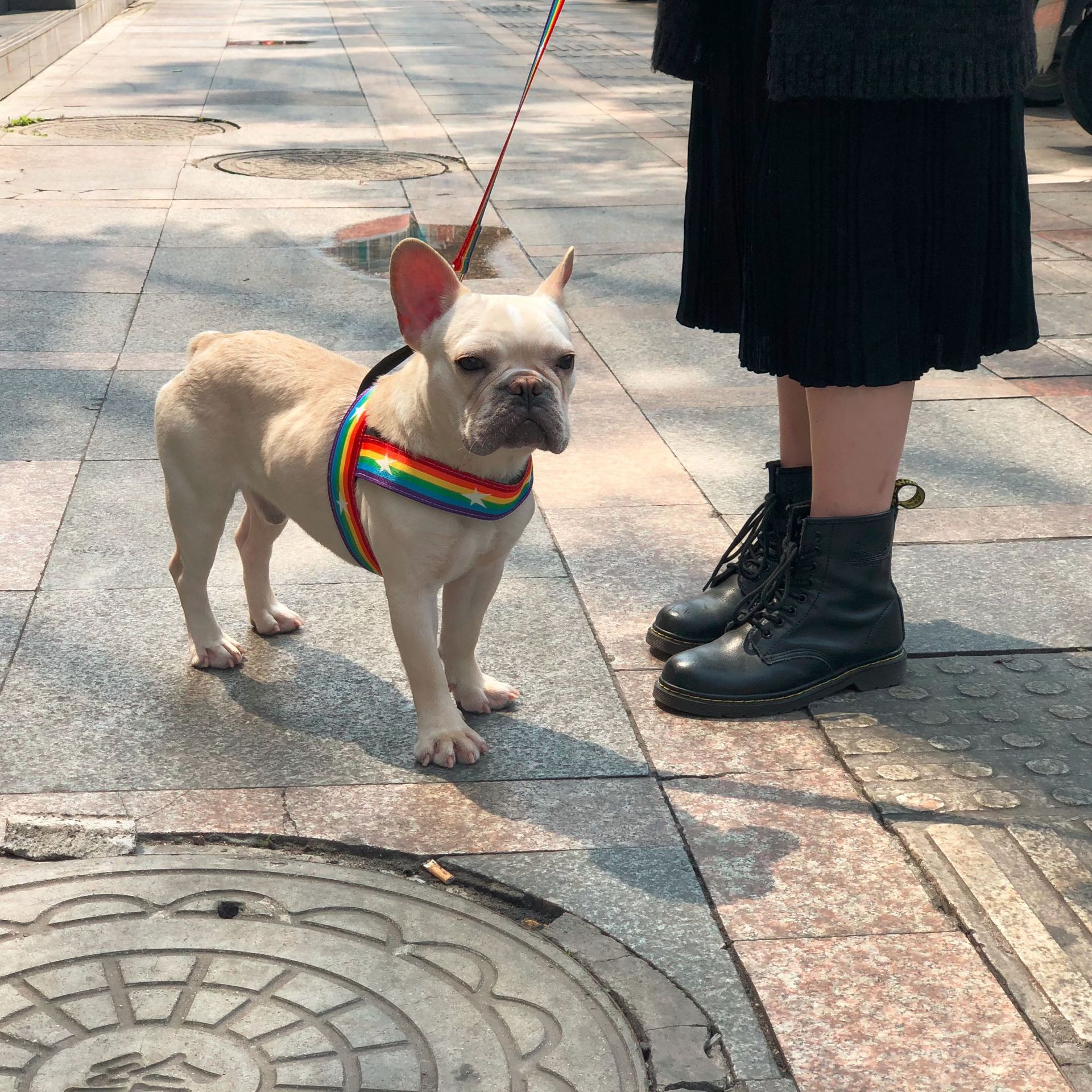Pet Rainbow Chain Cool Walking Leash