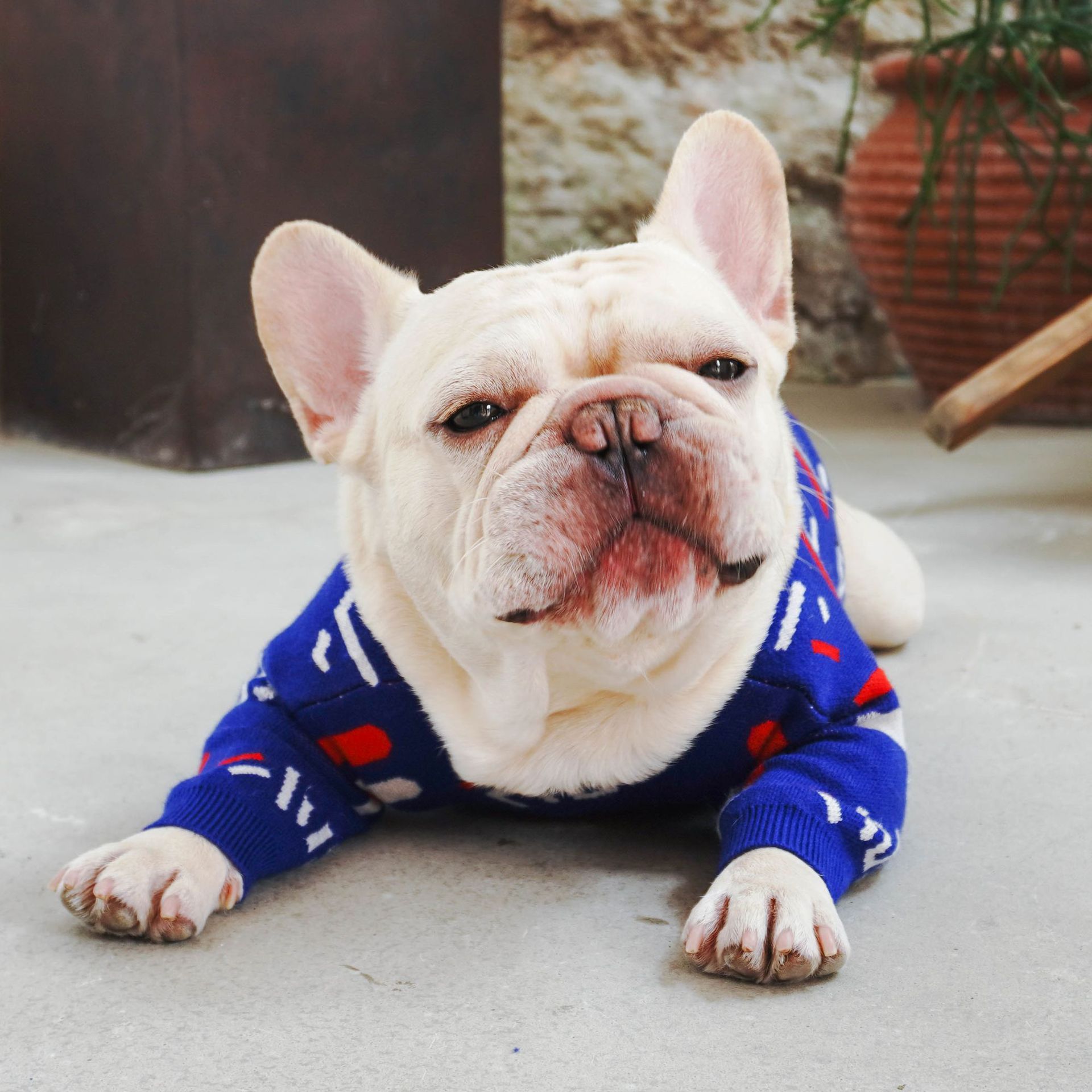 Pet Sweater Comfortable Warm Clothing Apparel