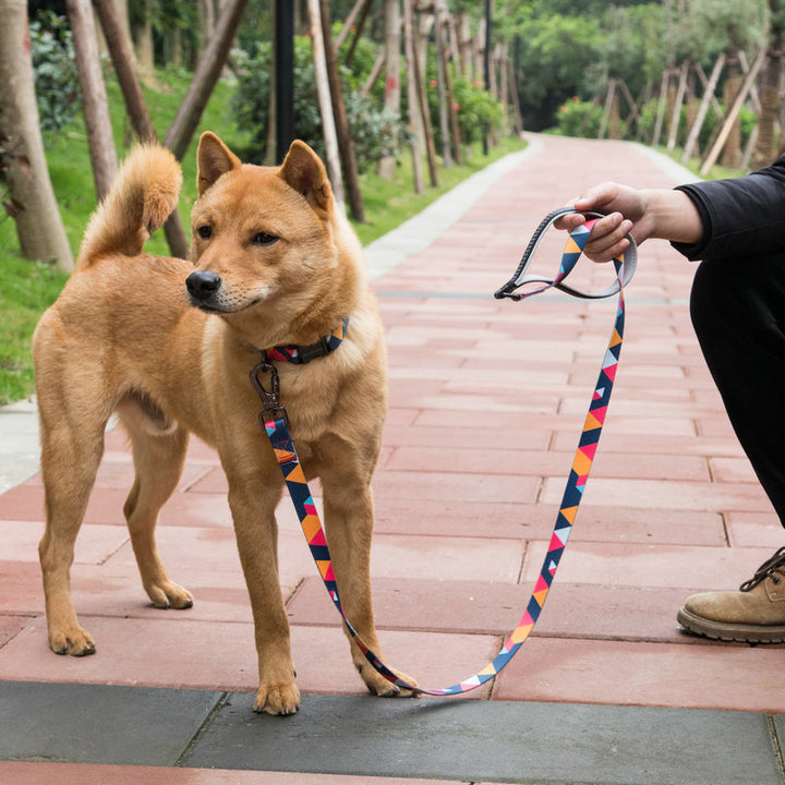 Pet Adjustable Walking Leash Durable Outdoor Lead
