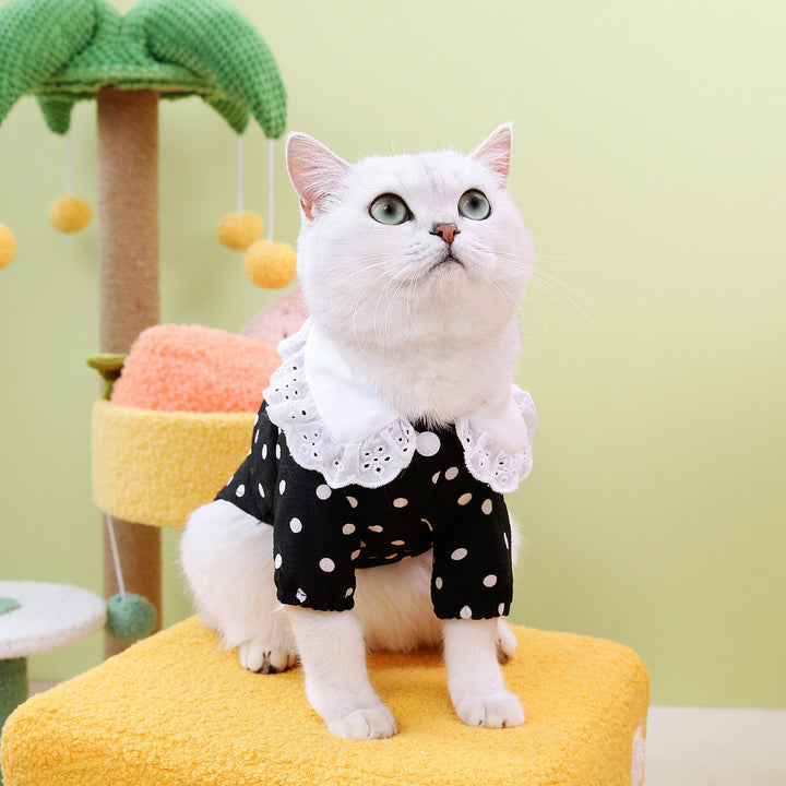 Blue Pet T-Shirt Comfortable Casual Clothing Apparel Wear