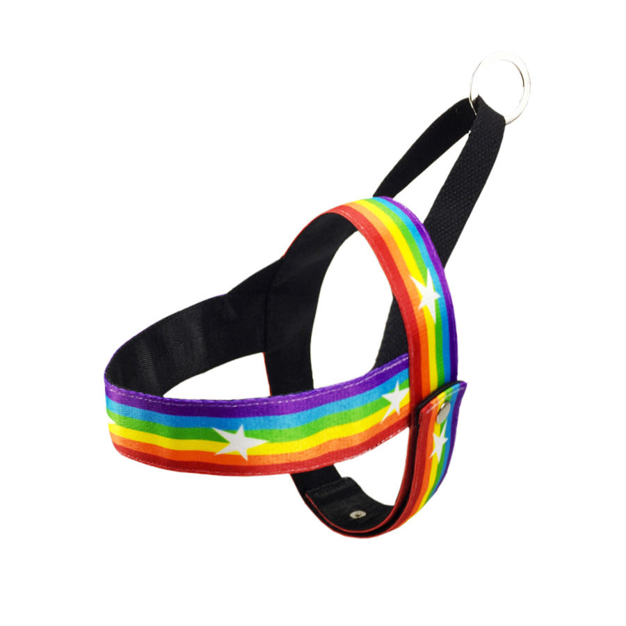 Pet Rainbow Chain Cool Walking Leash