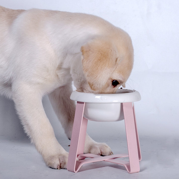 Pet Anti Slip Creative Bowl With Iron Stand 2 In 1 Feeding Water Bowl