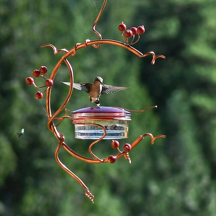 Outdoor Hanging Garden Self Service Window Hummingbird Feeder