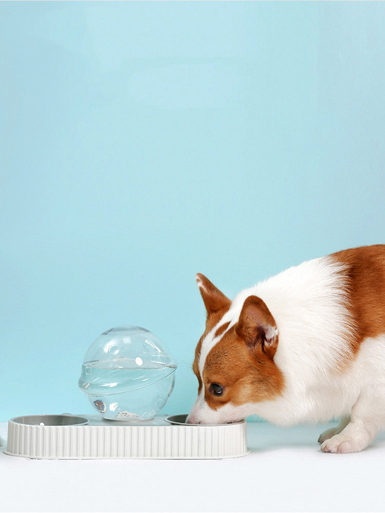 Pet Plastic Automatic Feeding Drinking Water Bowl
