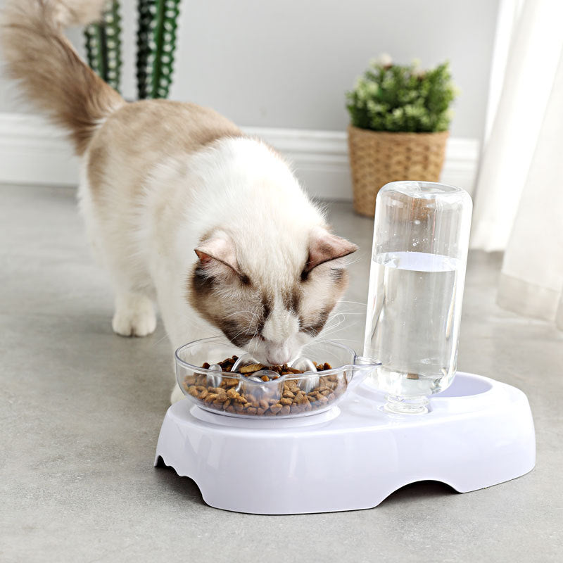 Pet Transparent Plastic Feeding Drinking Bowl