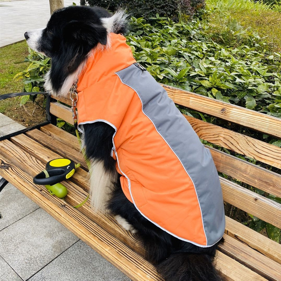 Pet Autumn Winter Outdoor Sports Jacket Clothing Apparel
