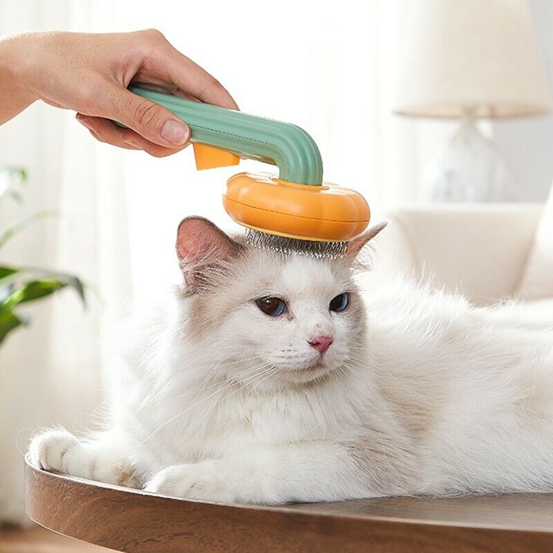 Self Cleaning Pet Slicker Brush Grooming Detangling Tool