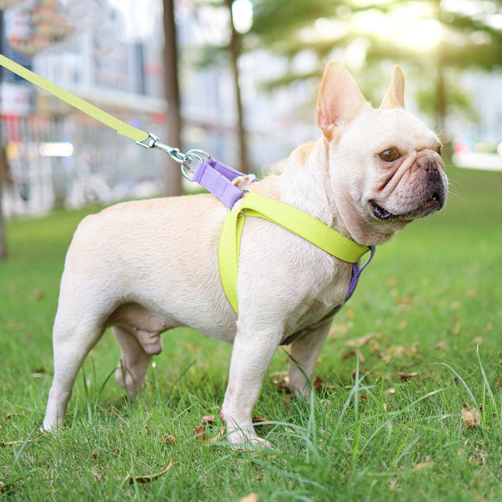 Pet Vest Drawstring Leash Adjustable Walking Harness