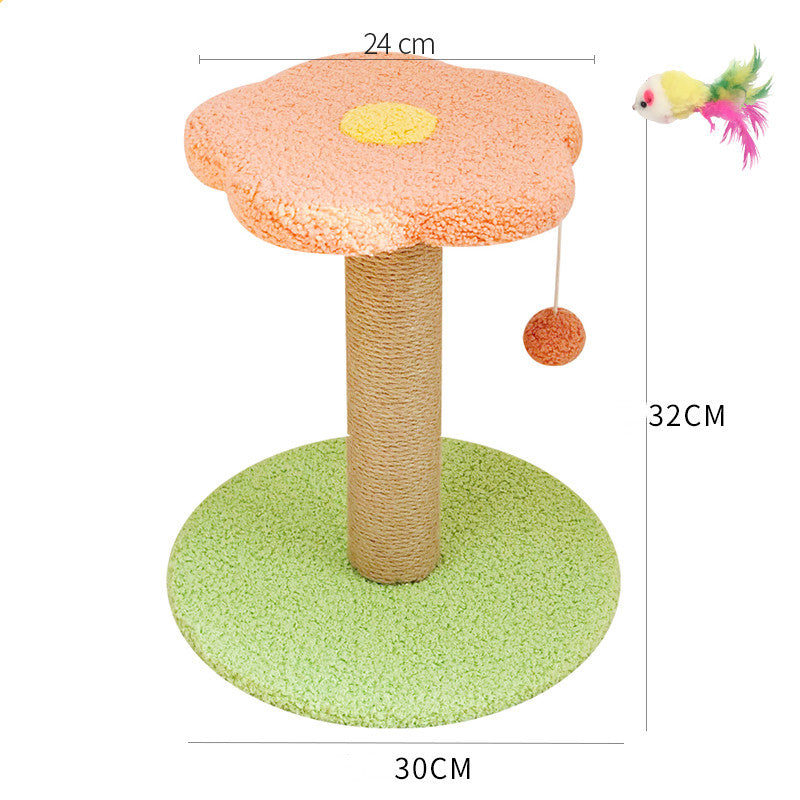 Pet Claw Grinding Teasing Interactive Play Toy