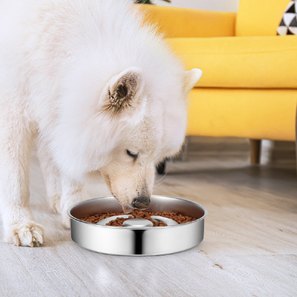 Pet Stainless Steel Slow Feeding Neck Protector Bowl