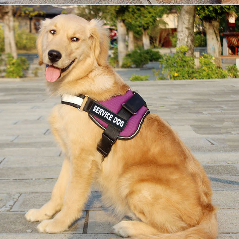Pet Harness Leash Adjustable Training Walking Set