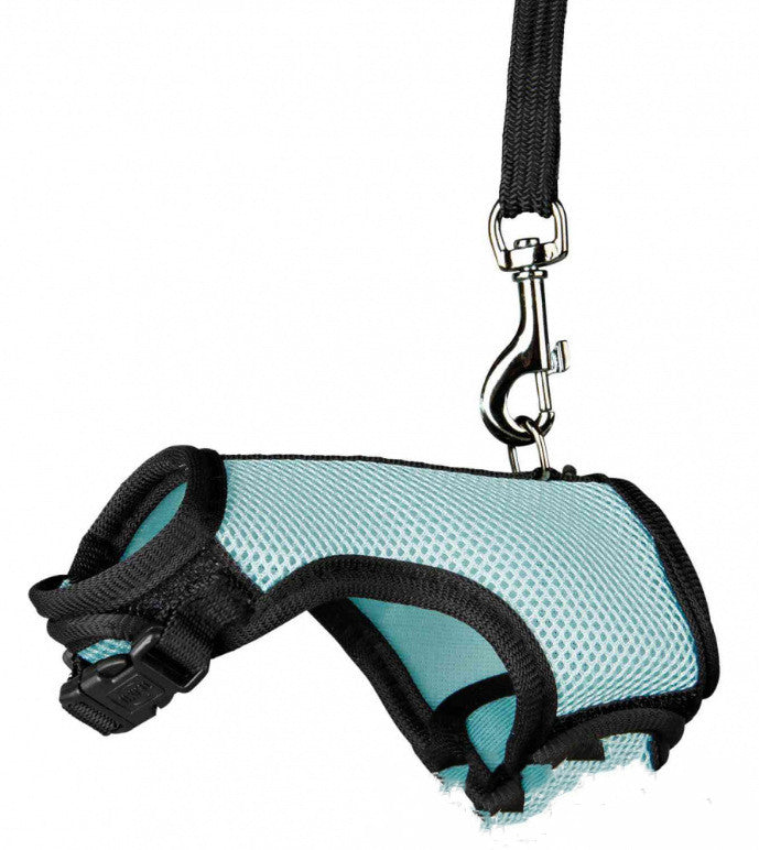 Pet Small Size Adjustable Walking Leash