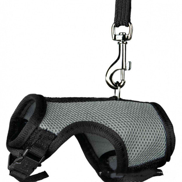 Pet Small Size Adjustable Walking Leash
