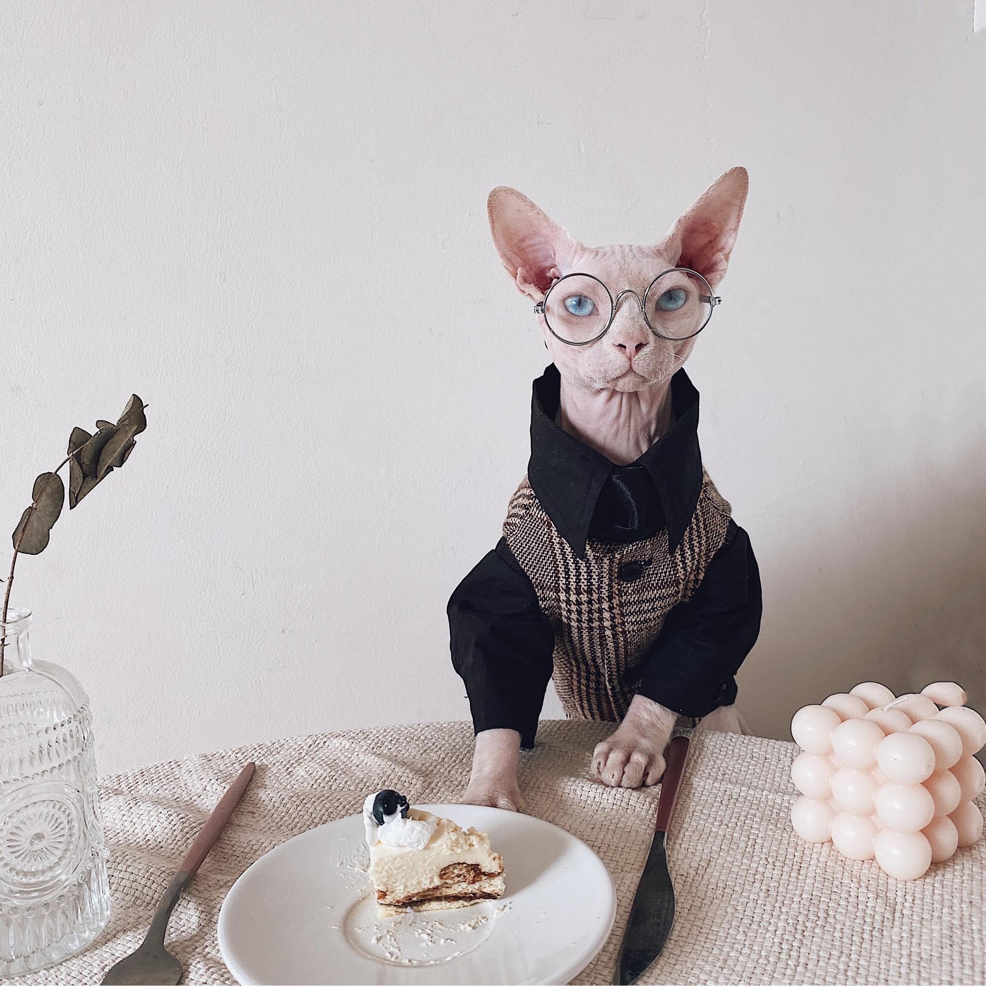 Pet Warm Suit Shirt Outfit Clothing Apparel