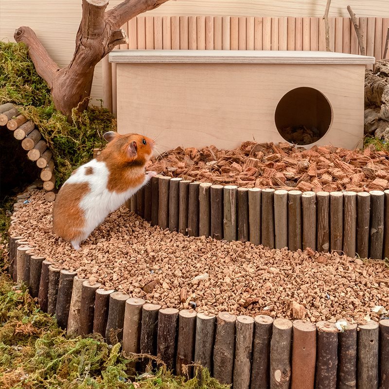 Oak Cork Hamster Bedding Dust Free Cage Landscaping Supplies