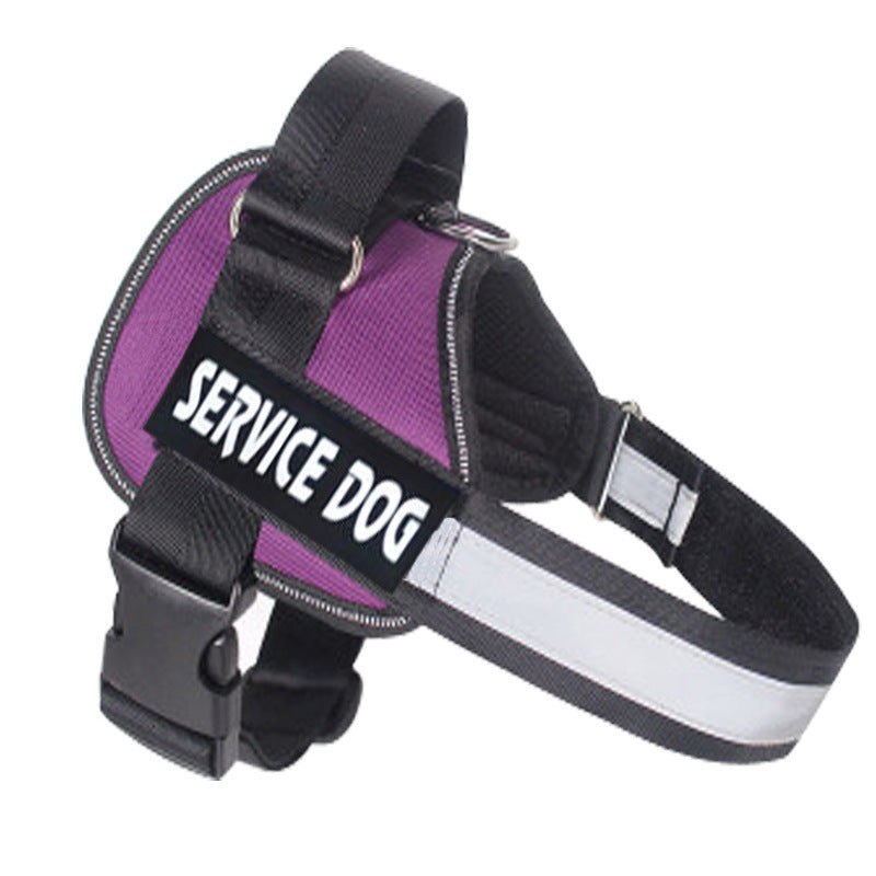 Pet Harness Leash Adjustable Training Walking Set