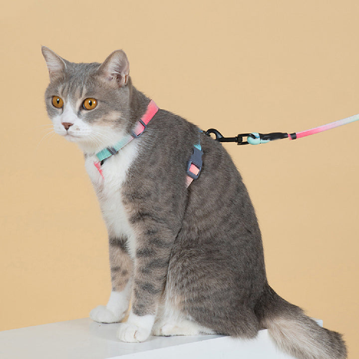 Pet Fashion Anti Escape Walking Leash