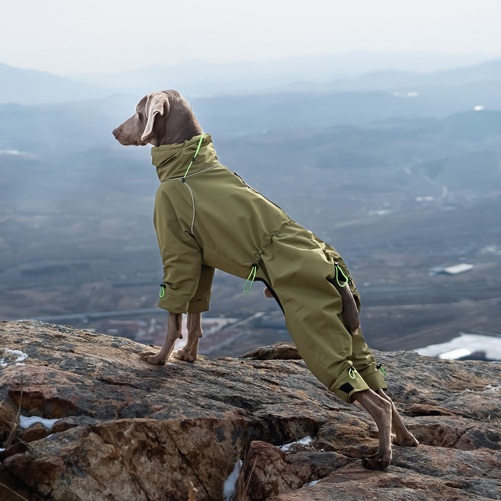 Windproof Turtleneck Pet Jacket Outdoor Warm Shell Wear