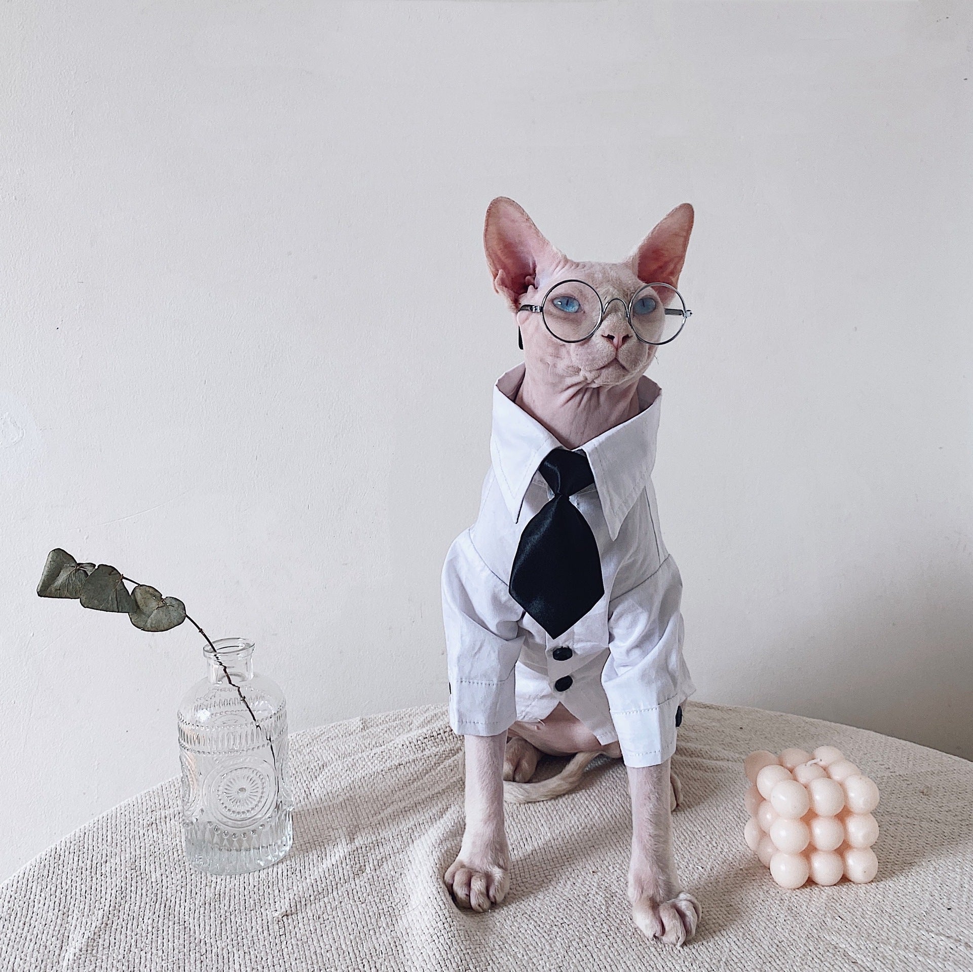 Pet Warm Suit Shirt Outfit Clothing Apparel