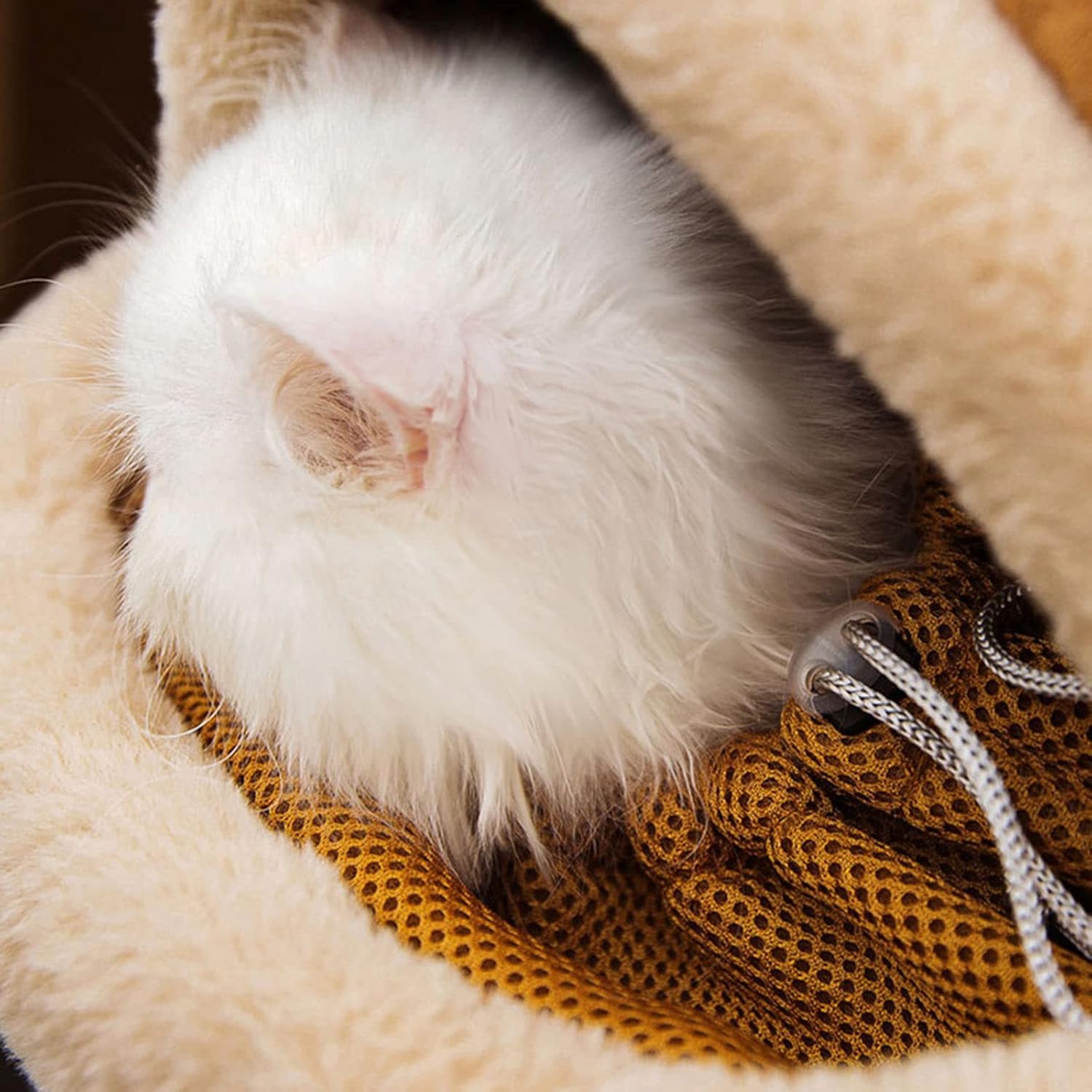 Pet Carrier Backpack Winter Plush Outdoor Travel Bag