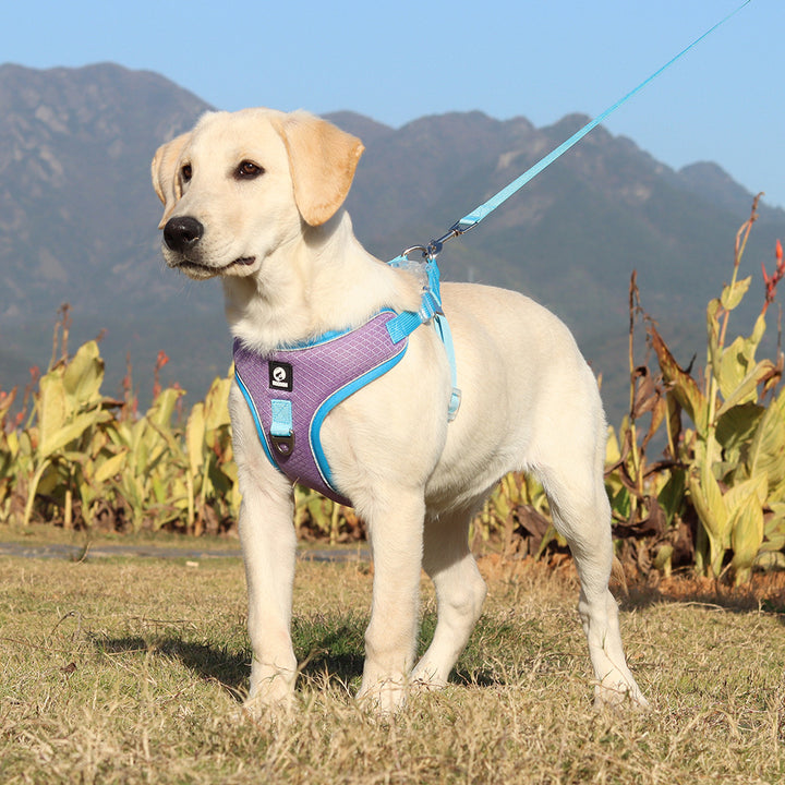 Pet Harness Leash Adjustable Breathable Walking Set