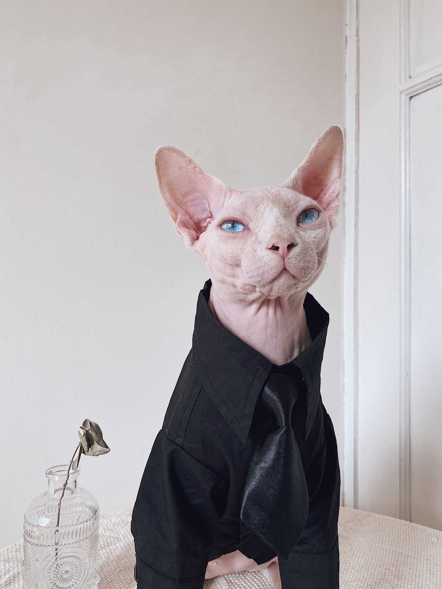 Pet Warm Suit Shirt Outfit Clothing Apparel