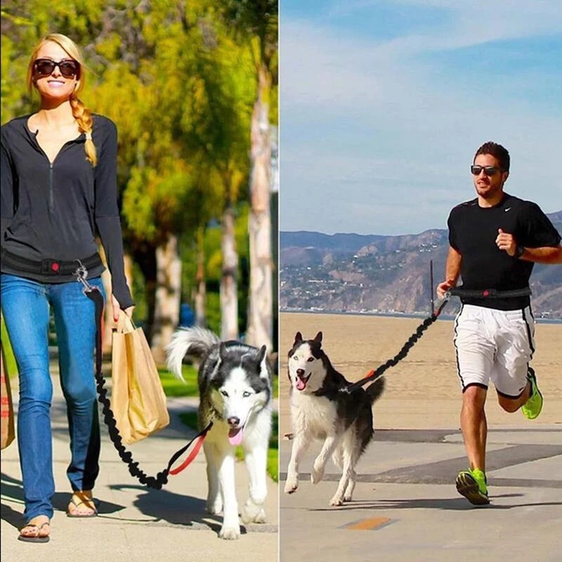 Pet Adjustable Harness Jogging Walking Leash