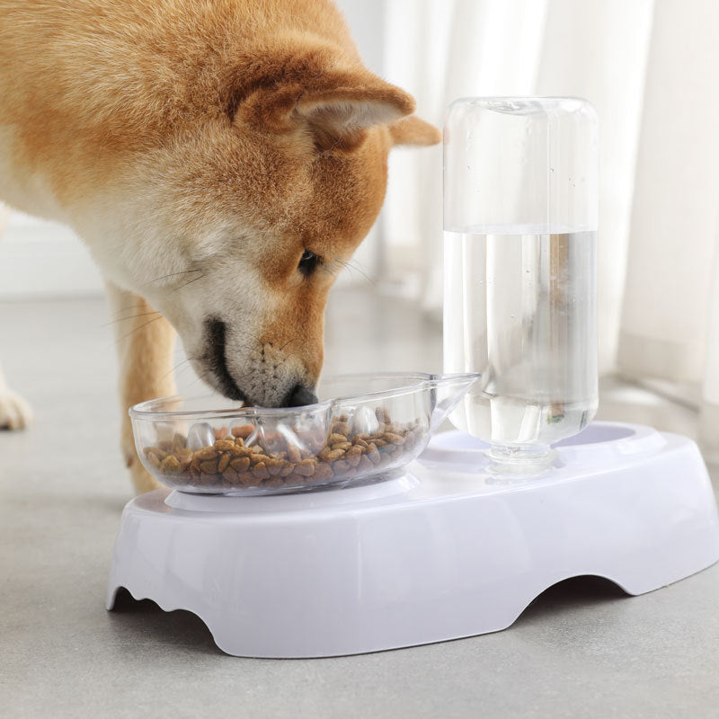 Pet Transparent Plastic Feeding Drinking Bowl