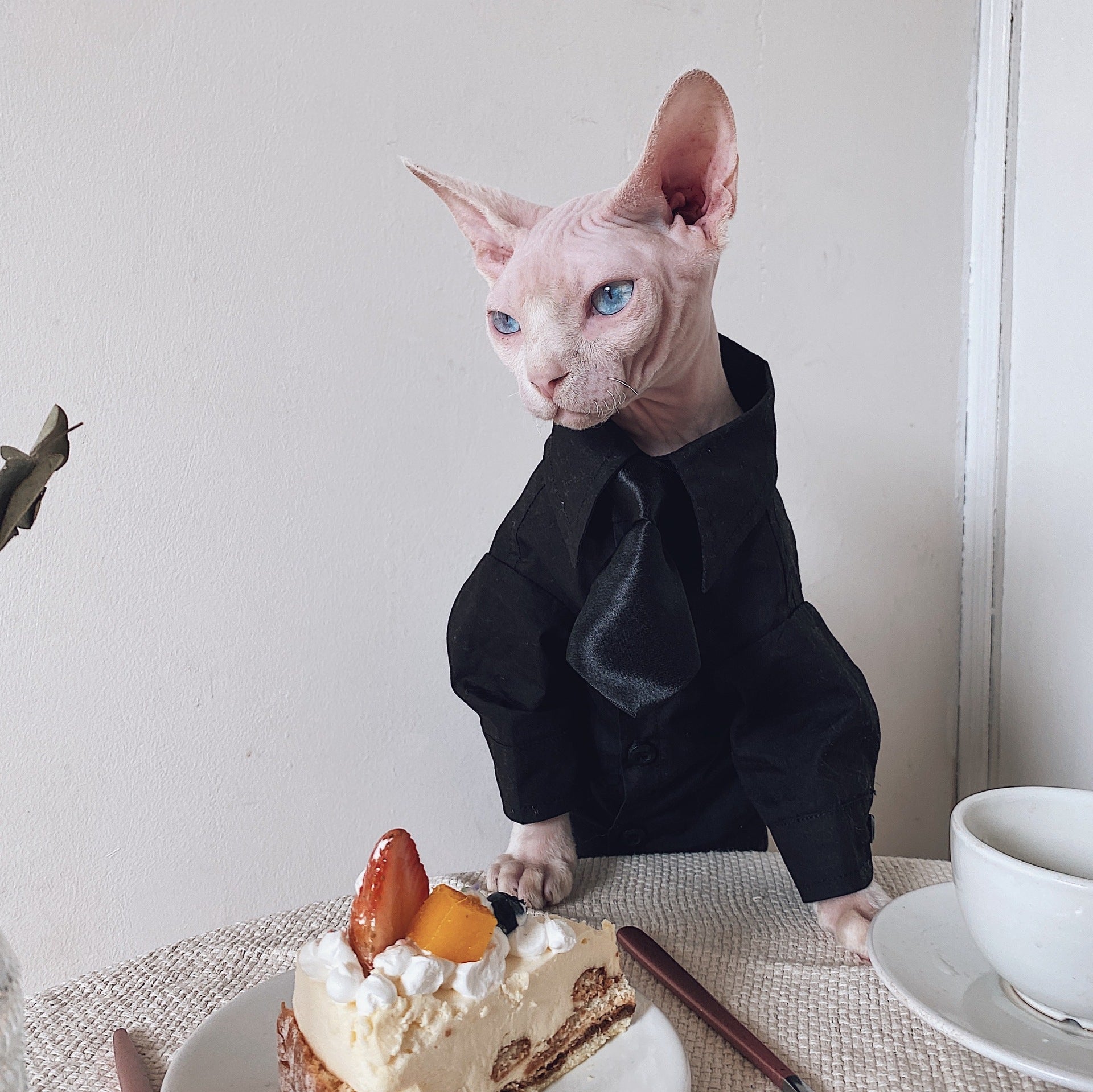 Pet Warm Suit Shirt Outfit Clothing Apparel