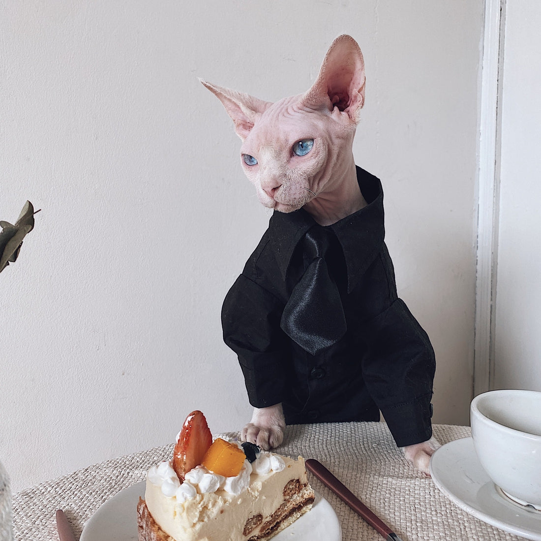 Pet Warm Suit Shirt Outfit Clothing Apparel
