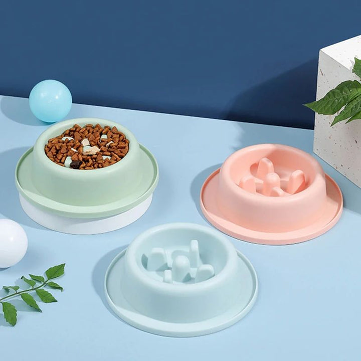 Pet Slow Eating Anti Choking Interactive Feeding Bowl Plate