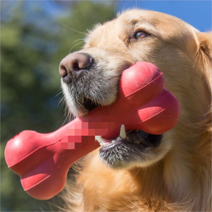 Pet Bite Resistant Rubber Teeth Grinding Chew Toy