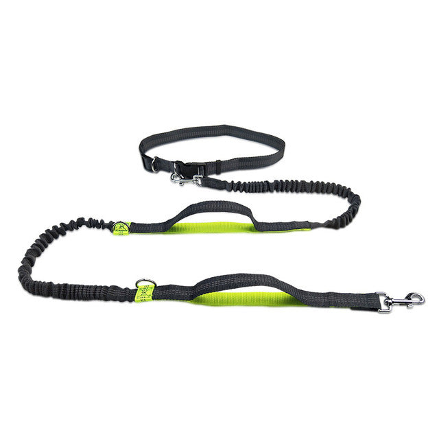 Pet Adjustable Harness Jogging Walking Leash
