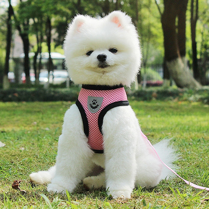 Pet Car Seat Belt Adjustable Safety Leash