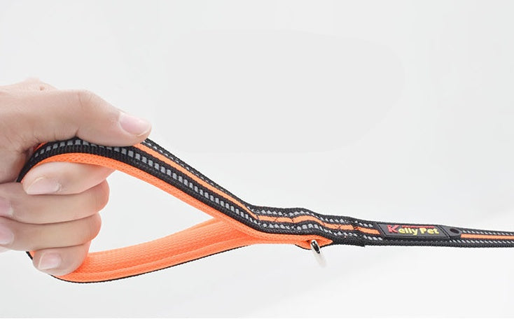 Pet Nylon Retractable Assisted Walking Leash