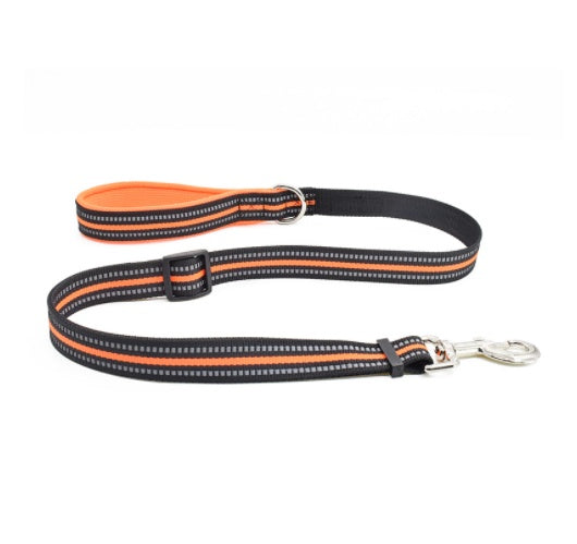 Pet Nylon Retractable Assisted Walking Leash