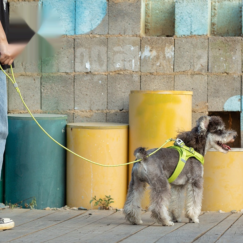 Adjustable Colorful Pet Sliding Walking Leash