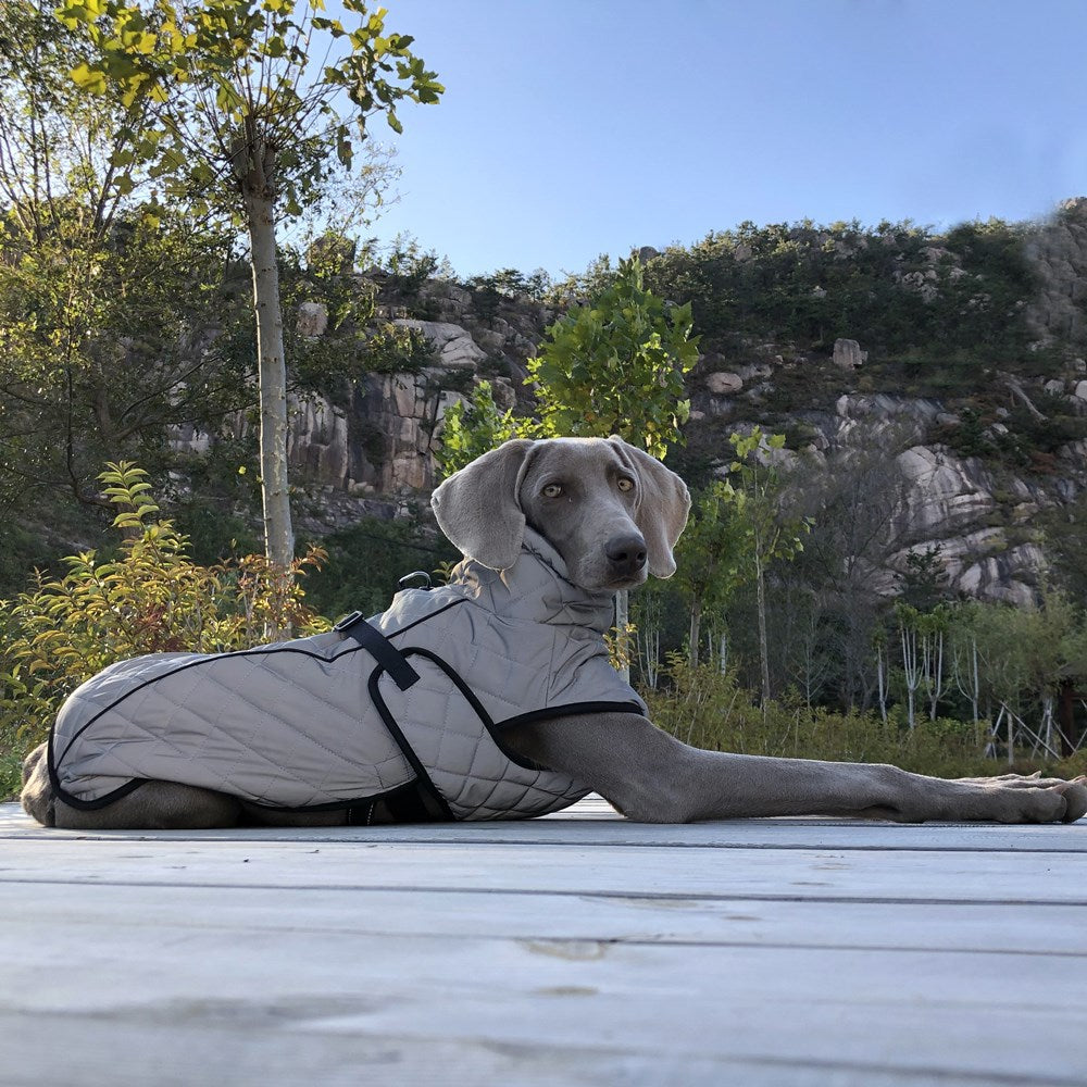 Reflective Tactical Full Body Pet Jacket Outdoor Wear