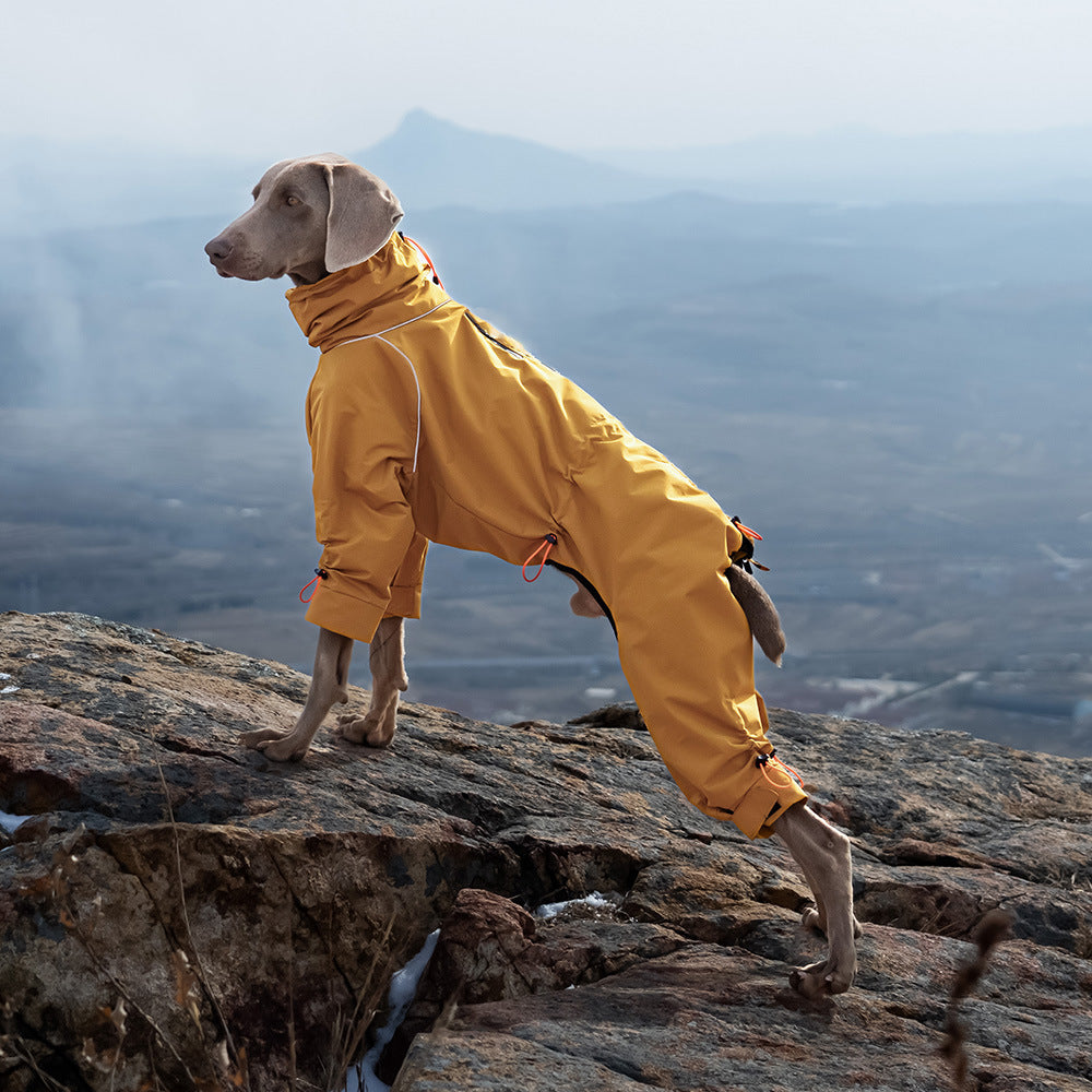 Windproof Turtleneck Pet Jacket Outdoor Warm Shell Wear