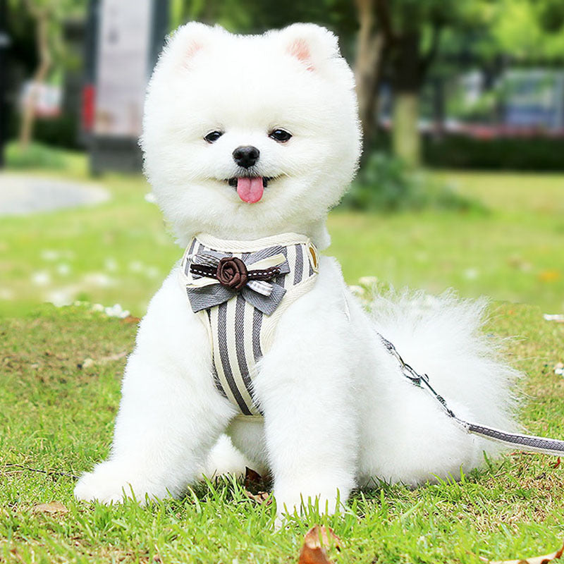Pet Vest Chest Strap Adjustable Walking Leash